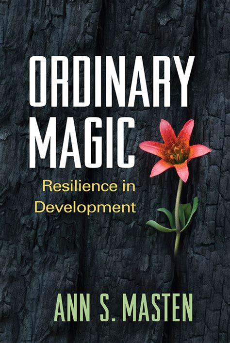 Discovering Our Own Magic in the Ordinary: Reflections on The Magic of Ordinary Days